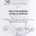 Ampliar imagen: certificate 7