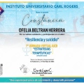 Ampliar imagen: certificate 2