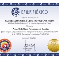 Ampliar imagen: certificate 1