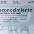 Ampliar imagen: certificate 17