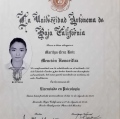 Ampliar imagen: certificate 3