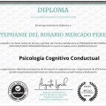Ampliar imagen: certificate 3