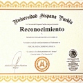 Ampliar imagen: certificate 7