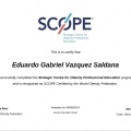Ampliar imagen: certificate 11