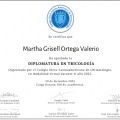 Ampliar imagen: certificate 5