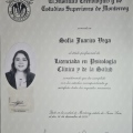 Ampliar imagen: certificate 2