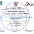 Ampliar imagen: certificate 12