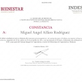 Ampliar imagen: certificate 11