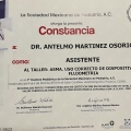 Ampliar imagen: certificate 5