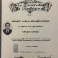 Ampliar imagen: certificate 3