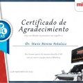 Ampliar imagen: certificate 3
