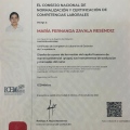 Ampliar imagen: certificate 2