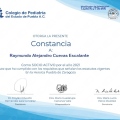 Ampliar imagen: certificate 19