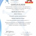 Ampliar imagen: certificate 2