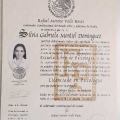 Ampliar imagen: certificate 6
