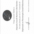 Ampliar imagen: certificate 5