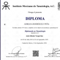 Ampliar imagen: certificate 3