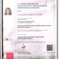 Ampliar imagen: certificate 3