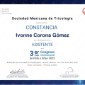 Ampliar imagen: certificate 5