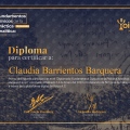 Ampliar imagen: certificate 7