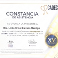 Ampliar imagen: certificate 7
