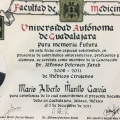 Ampliar imagen: certificate 4