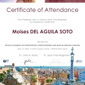 Ampliar imagen: certificate 9