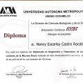 Ampliar imagen: certificate 7