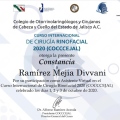 Ampliar imagen: certificate 16