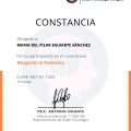 Ampliar imagen: certificate 6