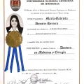 Ampliar imagen: certificate 5