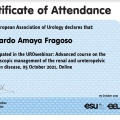 Ampliar imagen: certificate 3