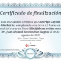 Ampliar imagen: certificate 5