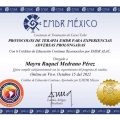Ampliar imagen: certificate 5