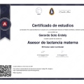 Ampliar imagen: certificate 7