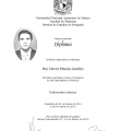 Ampliar imagen: certificate 3