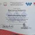 Ampliar imagen: certificate 13