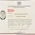 Ampliar imagen: certificate 5