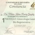 Ampliar imagen: certificate 26