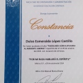 Ampliar imagen: certificate 8
