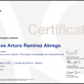 Ampliar imagen: certificate 7