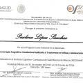 Ampliar imagen: certificate 5