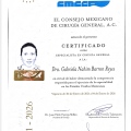 Ampliar imagen: certificate 1