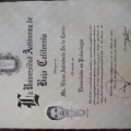 Ampliar imagen: certificate 4