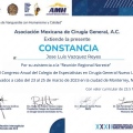 Ampliar imagen: certificate 8