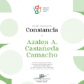 Ampliar imagen: certificate 11