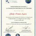 Ampliar imagen: certificate 5