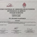 Ampliar imagen: certificate 25