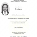 Ampliar imagen: certificate 13