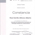 Ampliar imagen: certificate 3